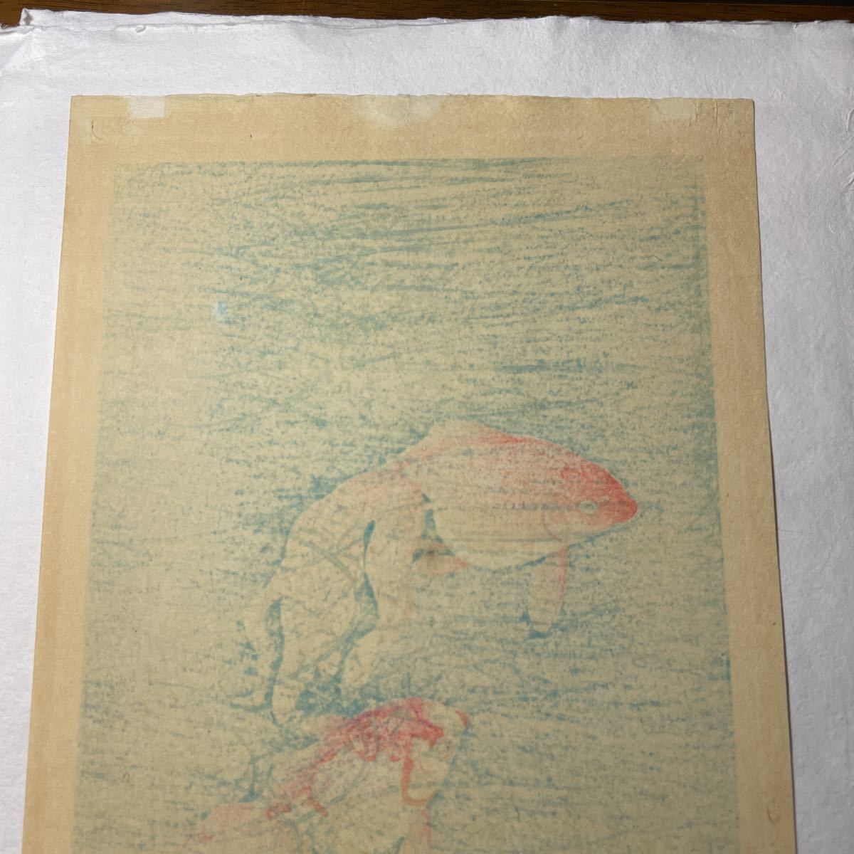 即決！真作 小森素石の木版画/金魚(検索＝川瀬巴水 土屋光逸 雪岱 吉田博 笠松紫浪 渡辺省亭 小原古邨 祥邨 豊邨 新版画 ネコ 猫 蛙)_画像8