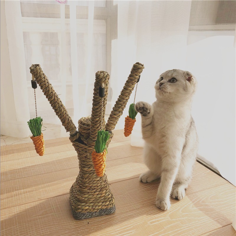  кошка коготь .. морковь симпатичный многофункциональный 