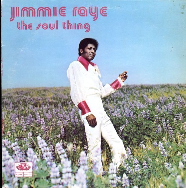 USオリジナルLP！Jimmie Raye / The Soul Thing 76年【Asante / ASW-JRST-9901】ジミー・レイ ザ・ソウル・シング Soul Funk Afrobeat_画像1