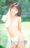 テレホンカード アイドル テレカ 釈由美子 山岸伸トレーディングカードコレクション S0021-0074_画像1