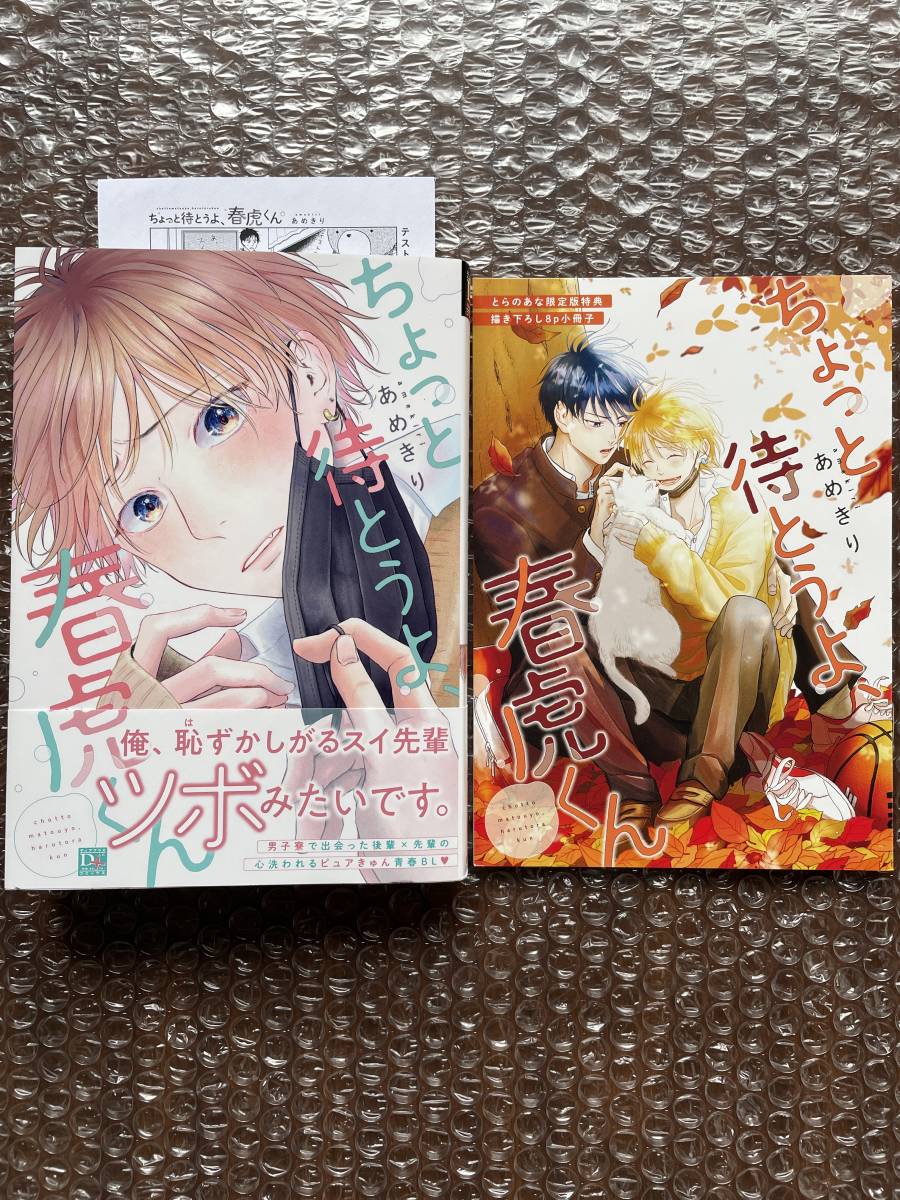 あめきり× STELLAMAP Cafe アクリルアートボード 小冊子 アクスタ あめきり× STELLAMAP Cafe アクリルアートボード 小冊子 アクスタ 春