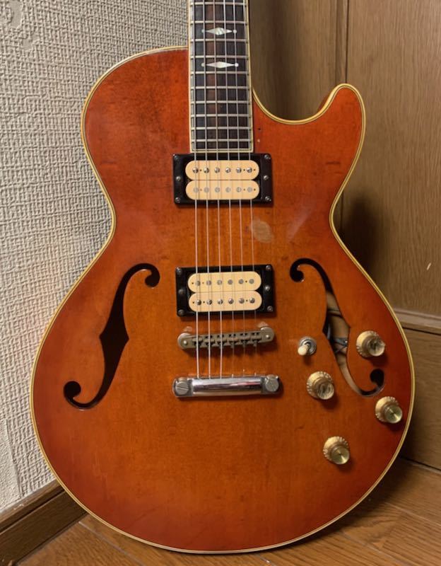 Vesta Graham VGS-1200 セミアコ ビンテージ ギター-