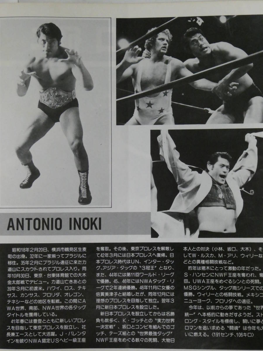  New Japan Professional Wrestling * pamphlet 1981 year New Year (Spring) yellow gold series Tiger * jet *sin, Anne tonio. tree, slope ..ni, wistaria wave .., length . power, tree ...