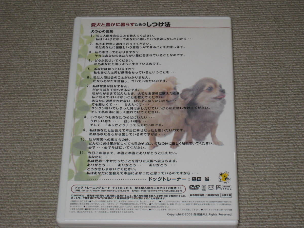 DVD 森田誠 愛犬と豊かに暮らすためのしつけ法 子犬 イヌ 小犬 ペット 仔犬を迎え入れてから 犬 社会化と主従関係 動物 ドッグトレーナー