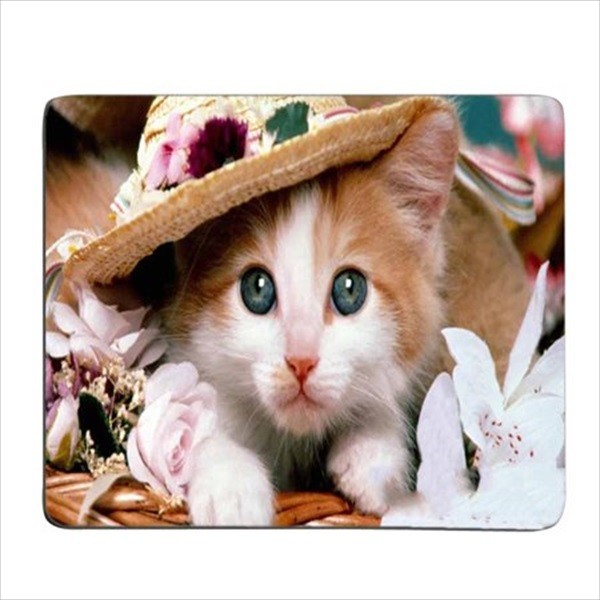 【新品】動物シリーズ マウスパッド （猫１） 220x180mm_画像1