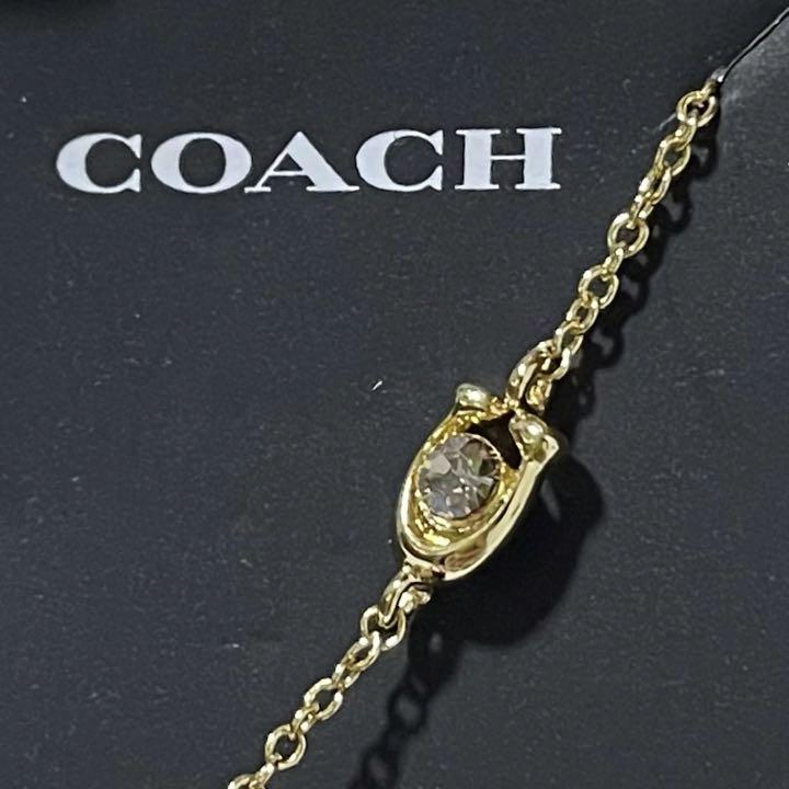 好きに コーチ COACH ネックレス アップル ポイズン ディズニー