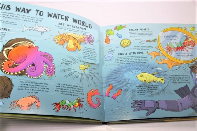 * животное. дом ( раздвижной книга с картинками ) иностранная книга Lonely Planet Kids How Animals Build (How Things Work)