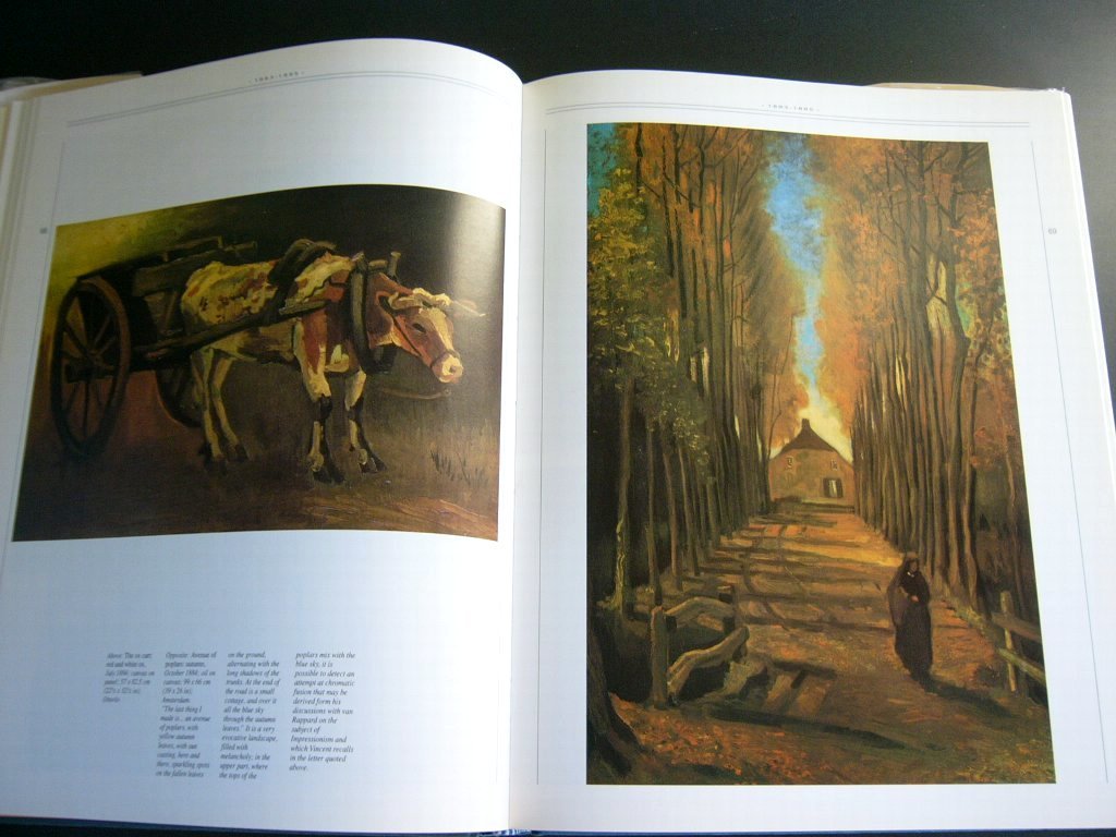 【送料無料】ゴッホ 作品集「Vincent」 The Works of Vincent van Gogh 1991年 Gallery Books 287頁 英語 [宅配便発送]_画像7
