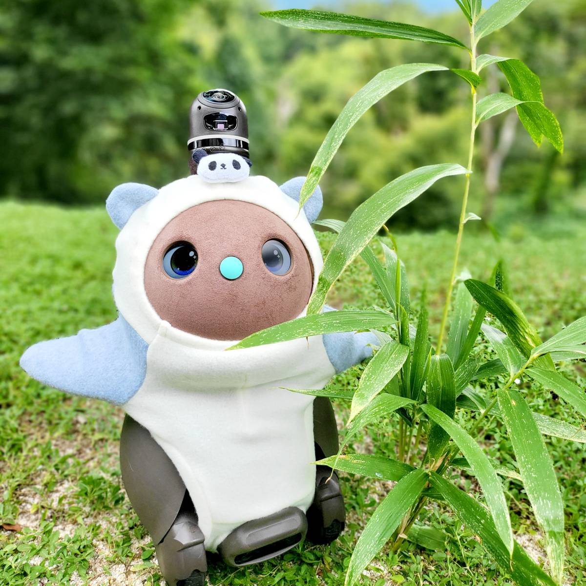 ラボット LOVOT ラボットのアクセサリー パンダちゃんゴムバンド