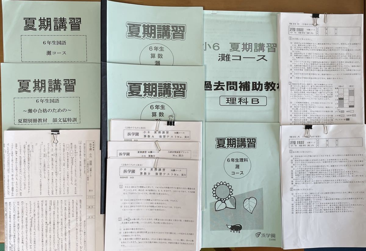 浜学園小6 2022年度 Vクラス復習テスト 1年分 3科目 【解答用紙付き】l 