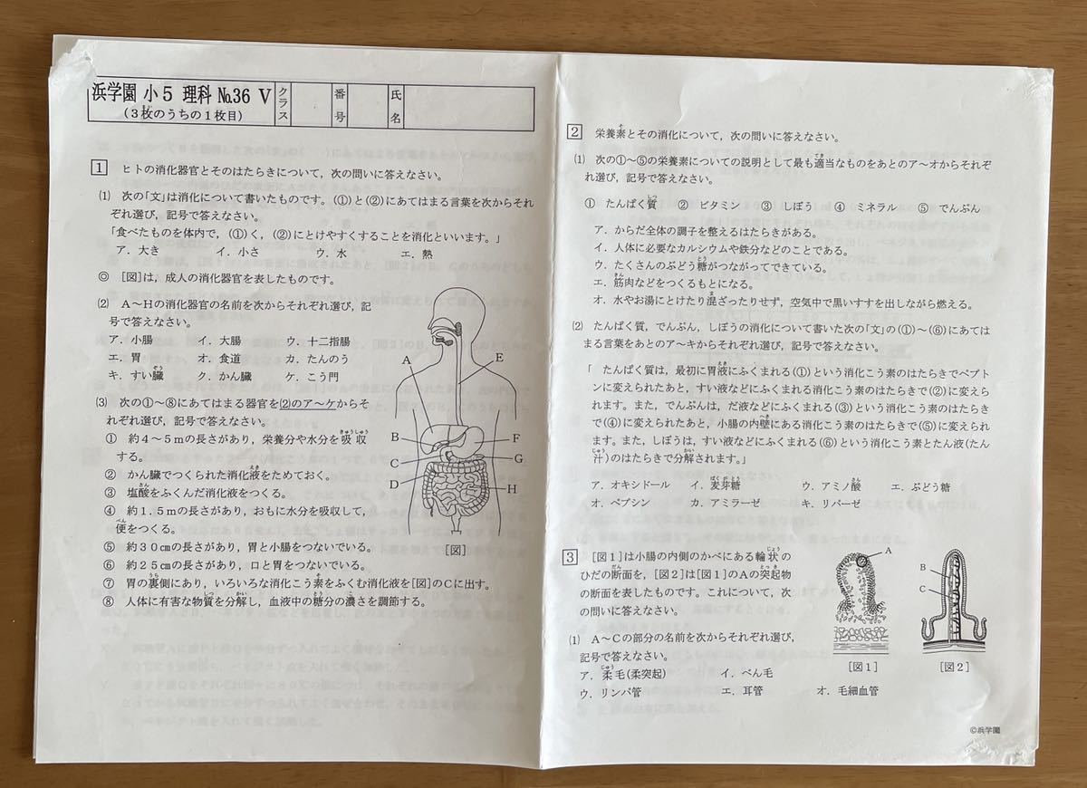 浜学園 小5 理科 復習テスト42回分|Yahoo!フリマ(旧PayPayフリマ) 浜学園 小5 理科 復習テスト42回分|Yahoo!フリマ(旧PayPayフリマ)