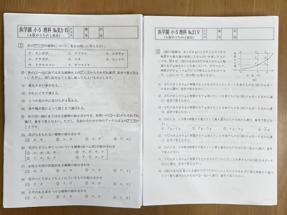 浜学園 小5 理科 復習テスト42回分|Yahoo!フリマ(旧PayPayフリマ) 浜学園 小5 理科 復習テスト42回分|Yahoo!フリマ(旧PayPayフリマ)