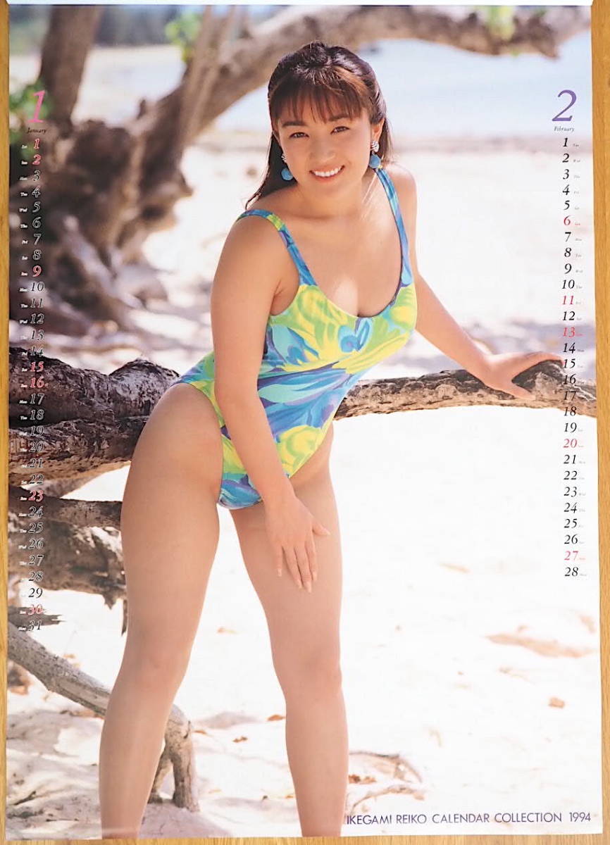1994 год Ikegami красота .( Ikegami ...) календарь не использовался хранение товар 