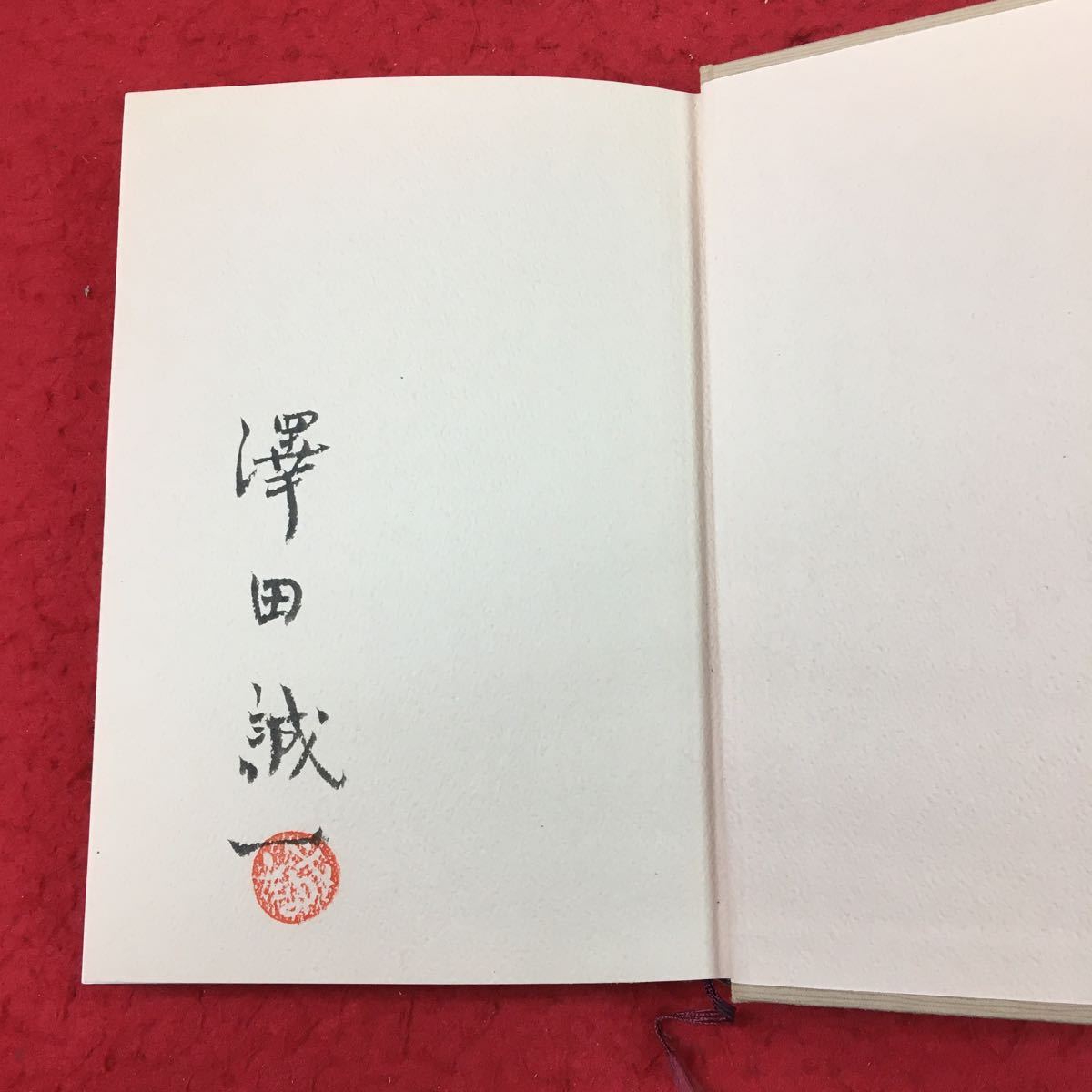 d-023 ※13 白い土地の人々 著者 澤田誠一 表紙カバーなし 1979年11月16日 発行 構想社 北海道 エッセイ 自然 文化 札幌 石狩 人生 故郷_画像9