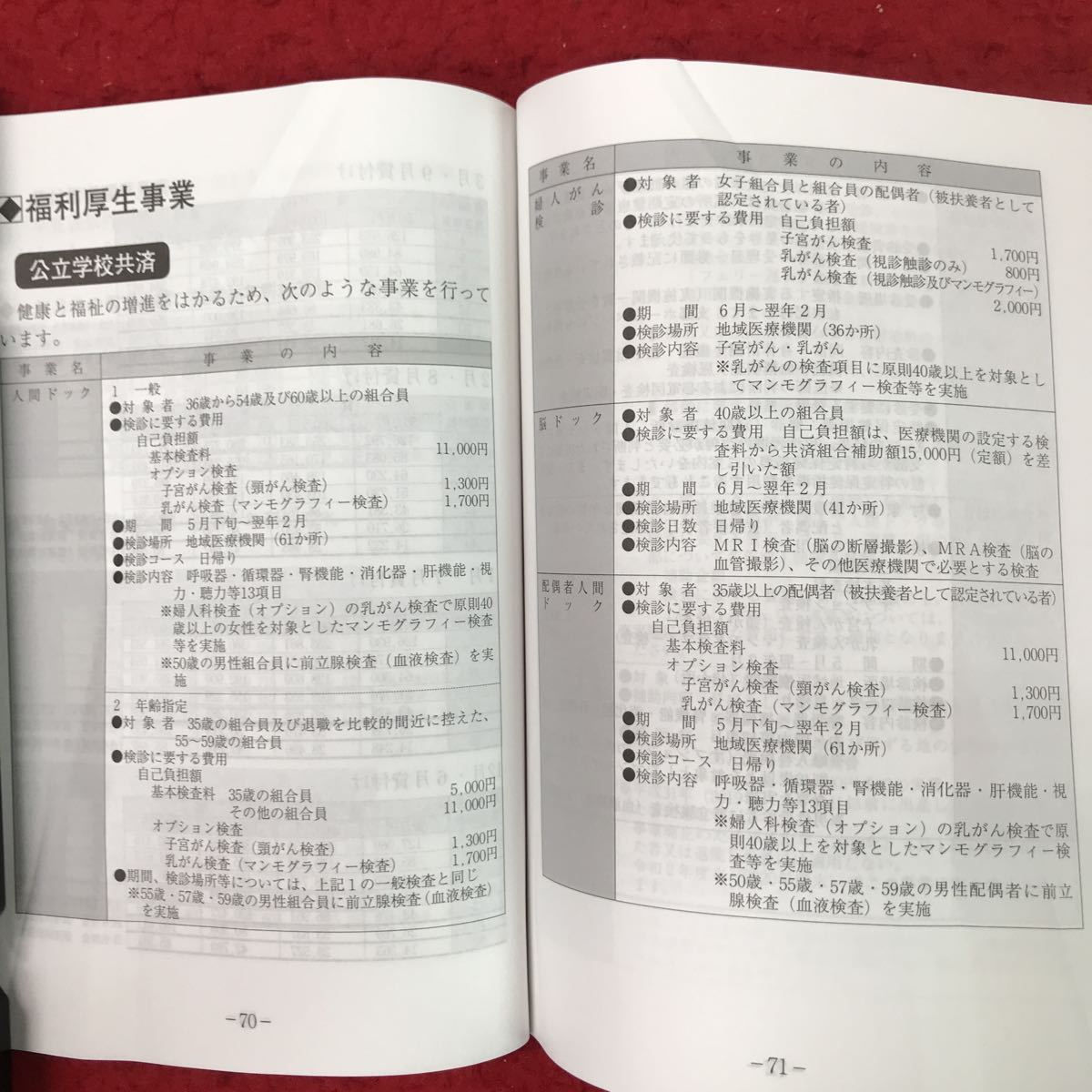 d-089 ※13 2020年度 福祉のしおり 公立学校共済 教職員互助会 教職員 扶養家族 配偶者 給付金 負傷 事故 退職 福利厚生 しおり 相談事務所_全てのページに折り有り