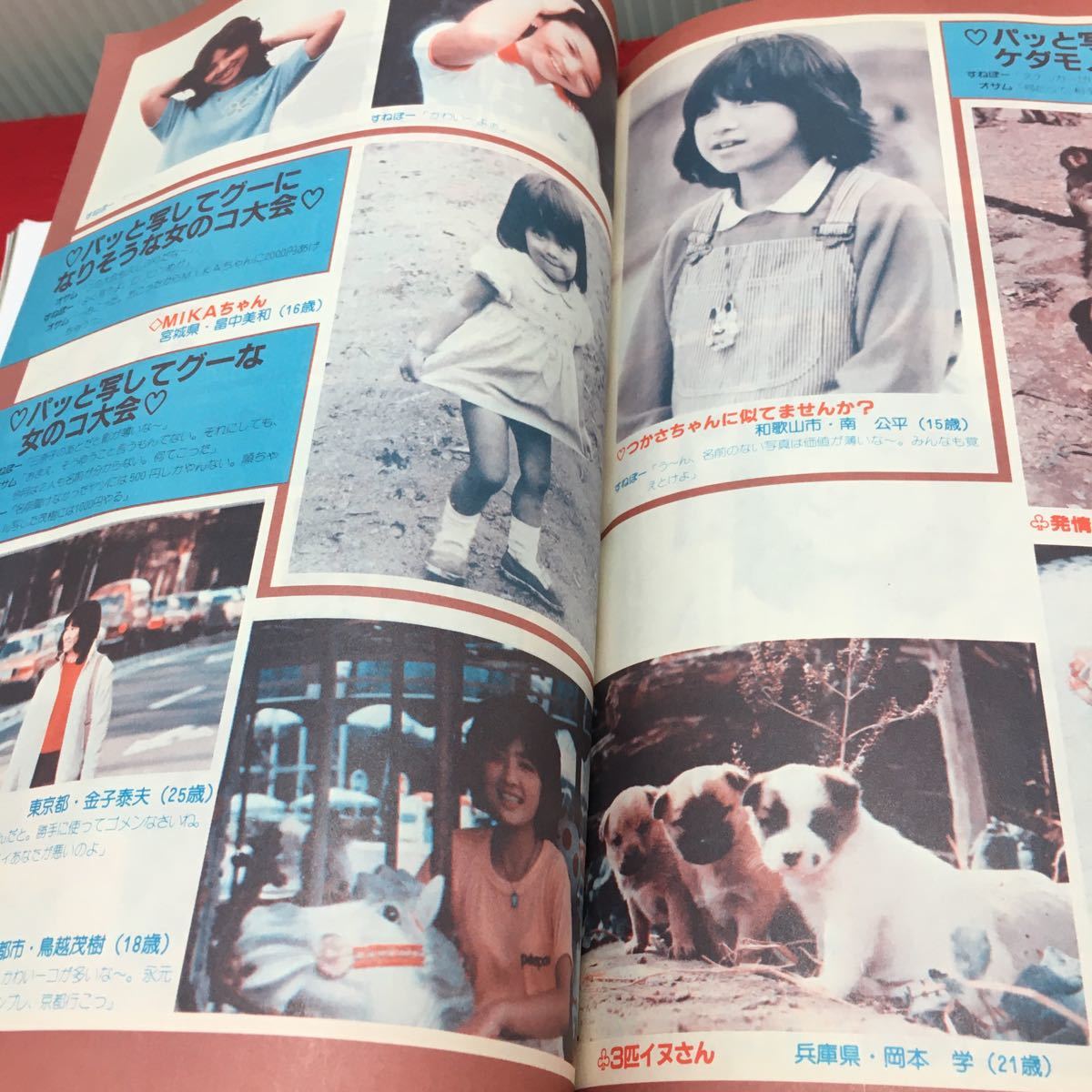 c-540 月刊カメラマン 1982FEB ② 大山千賀子の情念が燃えるファラウェイアイズⅢ 昭和57年2月20日 発行 ※13_画像4