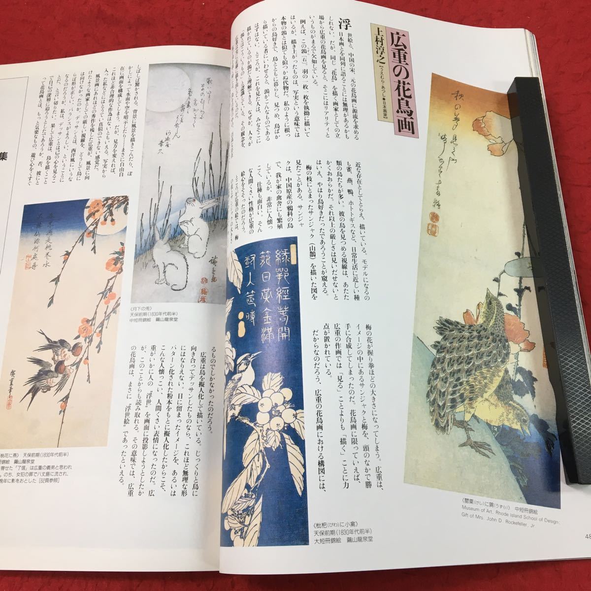 d-508 ※13 芸術新潮 1993年3月号 1993年3月1日 発行 新潮社 芸術 雑誌 大久手宿 風景画 原風画 エッセイ 蒲原 夜之雪 広重 花鳥画_画像8