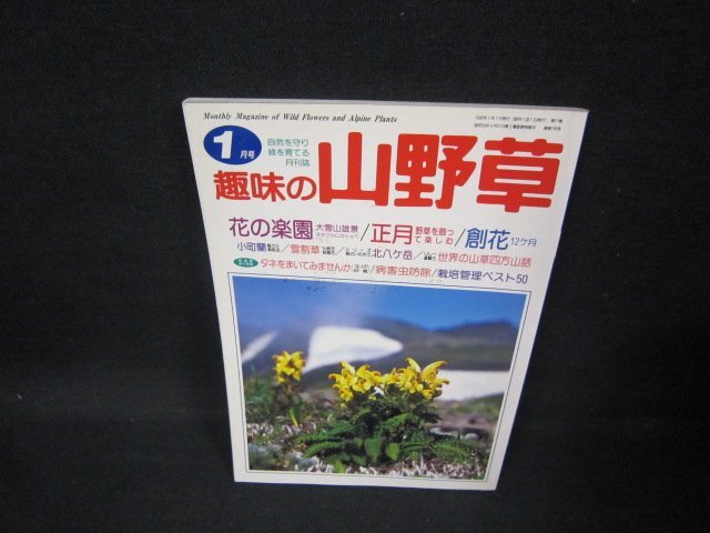 趣味の山野草1996年1月号　花の楽園/FAV_画像1