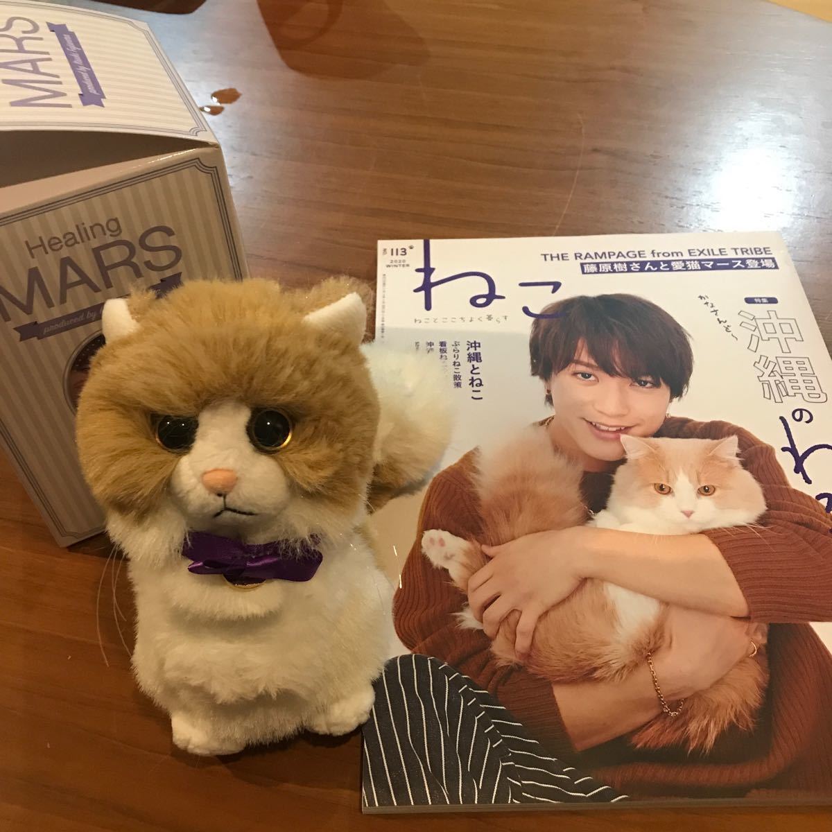 藤原樹 マース THE RAMPAGE LIVE TOUR 2020|Yahoo!フリマ(旧 藤原樹 マース THE RAMPAGE LIVE TOUR 2020|Yahoo!フリマ(旧