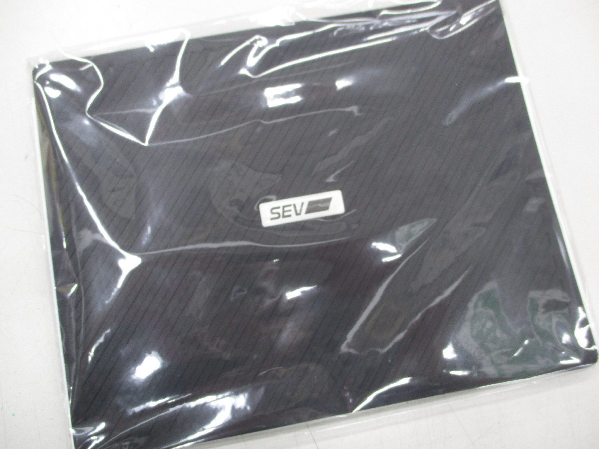 SEV フラットパネル 2枚セット | www.donorione.it