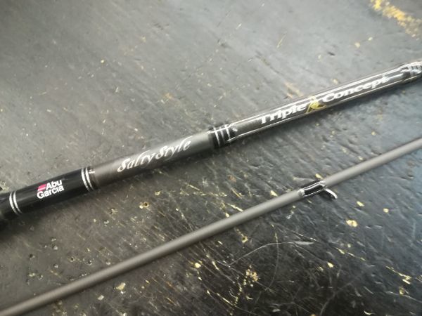 最高の アブガルシア Salty Style Triple Concept thecarestaff.com