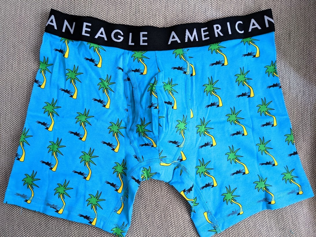 * 2点のみ * AE アメリカンイーグル ボクサーブリーフ トランクス AEO 6" Classic Boxer Brief XXL / Blue Palms *_画像1