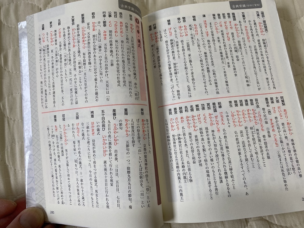 大学入試　大学受験　古文参考書　古文単語　「重要　古文単語315」の中古品_画像6