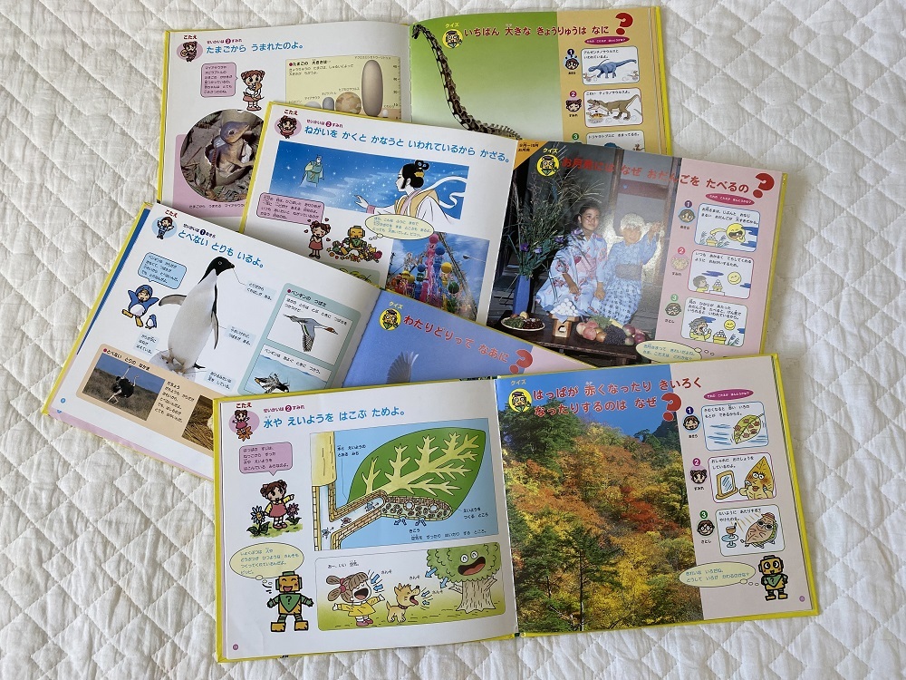 子どもの絵本 児童書 チャイルド科学絵本館 「なぜなぜクイズ 子どもの絵本 児童書 チャイルド科学絵本館 「なぜなぜクイズ