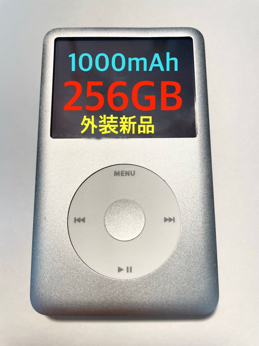 売り尽くしセール iPod classic第7世代 160GBからSD256GBにU2