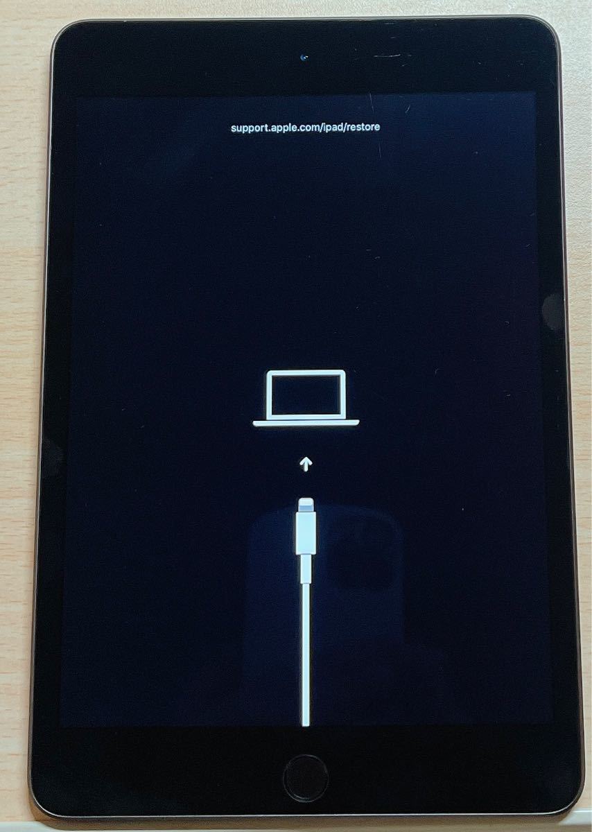 Yahoo!オークション - Apple iPad mini5 ジャンク品