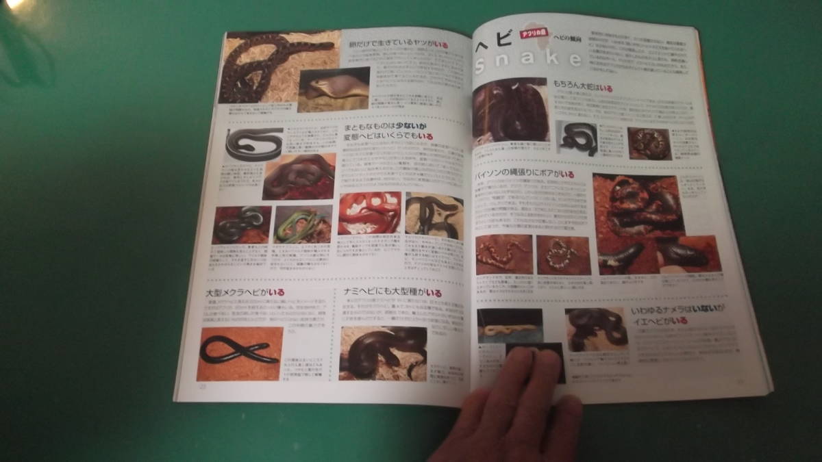 .M5189*bi burr um guide No.69.... reptiles .*.. profit . compilation postage 198 jpy 