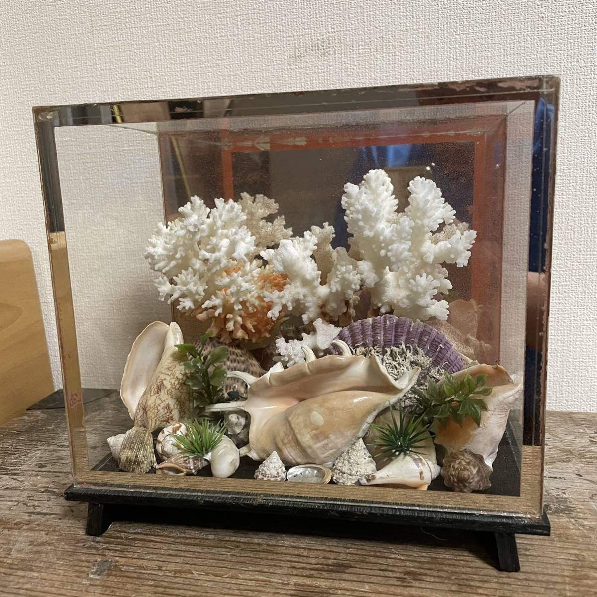  display shelf shell ... Showa Retro 