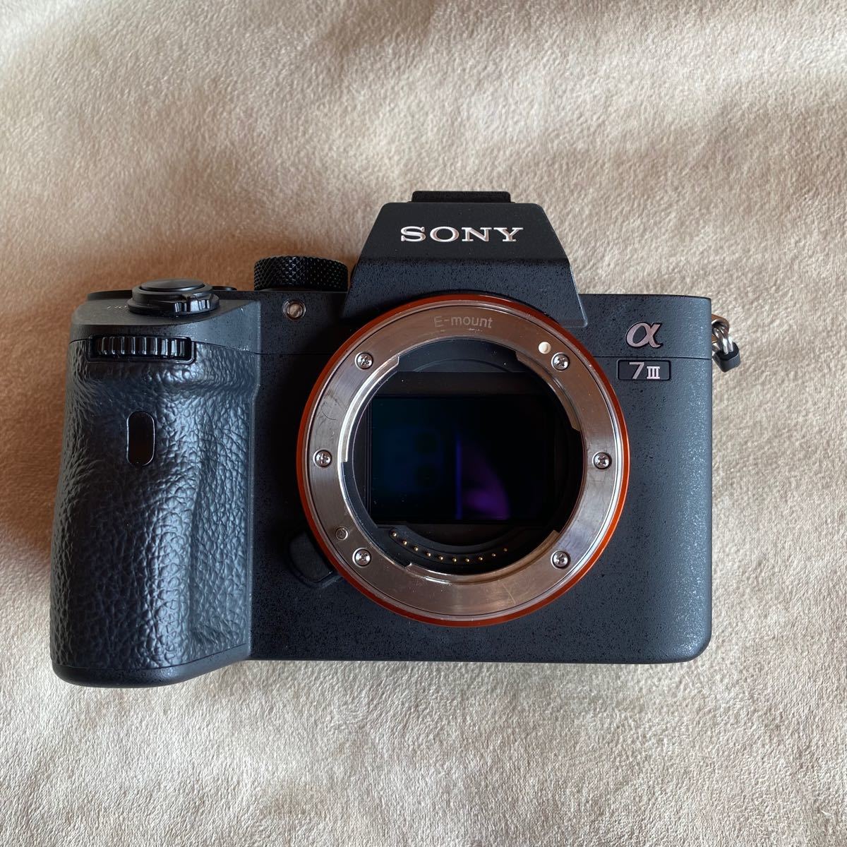 1万値下げ SONY α7Ⅲボディ 美品 バッテリーとチャージャーのおまけ