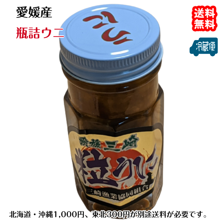 愛媛 天然 板ウニ 瓶詰ウニ 80g×3個 赤ウニ 素潜り海士 送料無料 浜から直送 宇和海の幸問屋_画像1