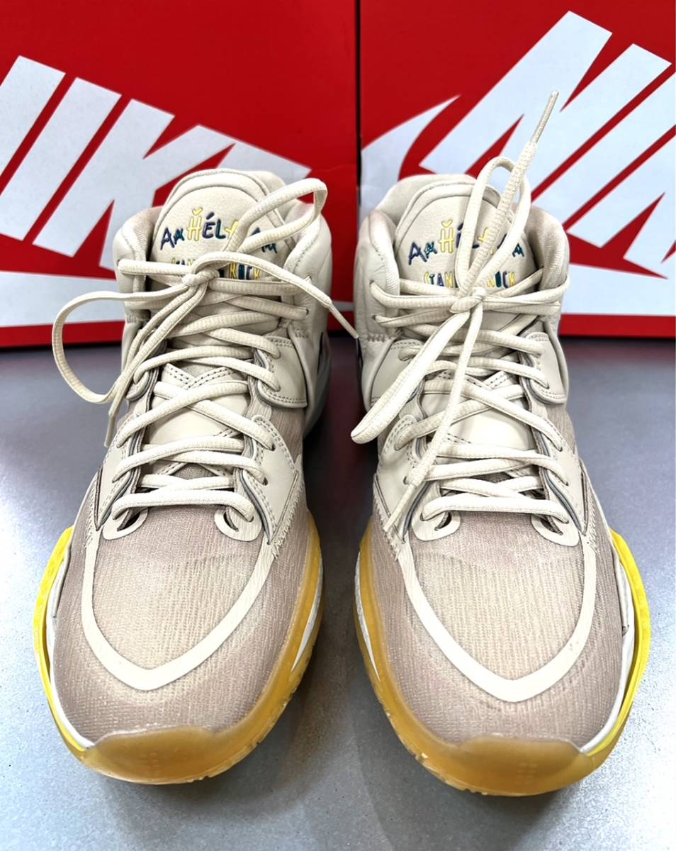 世界の No.511 極美品 NIKE AIR ZOOM FLIGHT95 27.5cm econet.bi