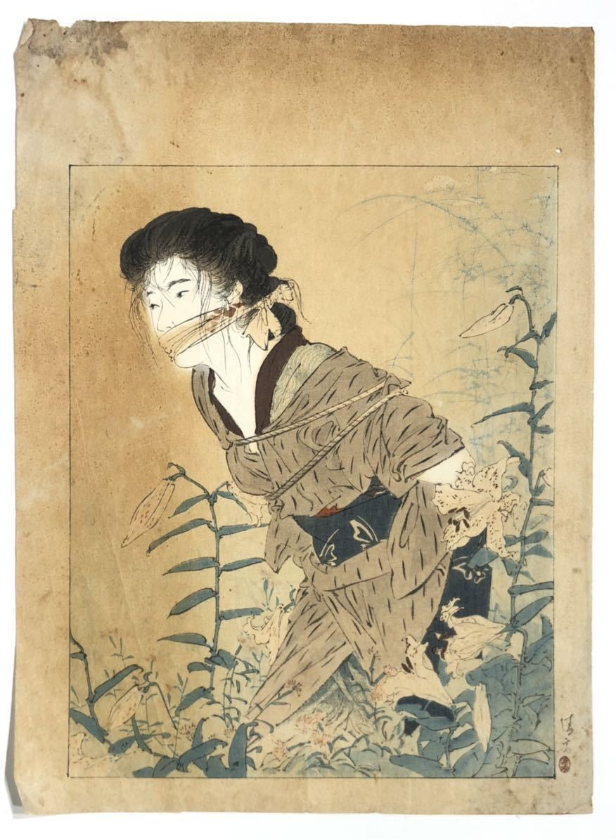 正式的正式的木版画美人画集 明治の女 版画 | purcellcom.com