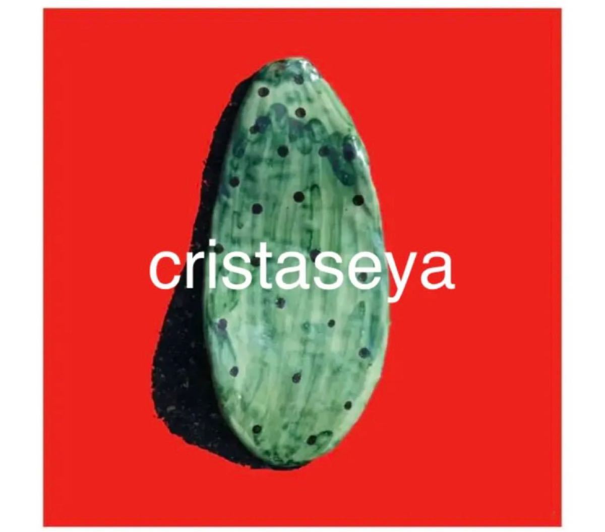 cristaseya クリスタセヤ CACTUS LEAVES オブジェ