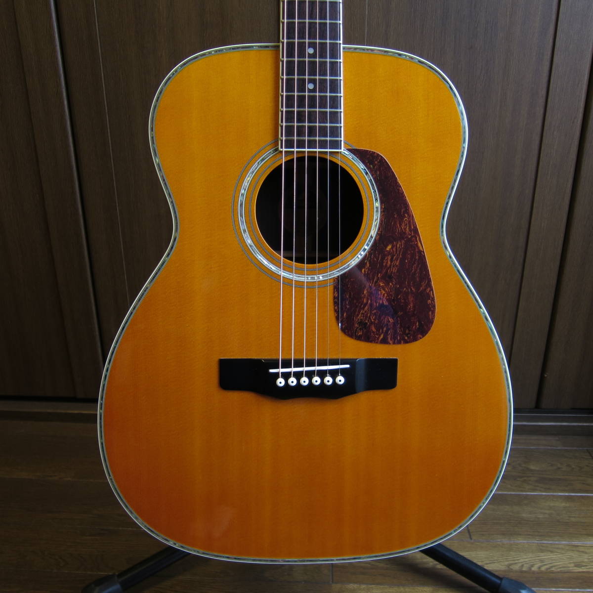 MORRIS アコースティックギター MF601 ハカランダ gbparking.co.id