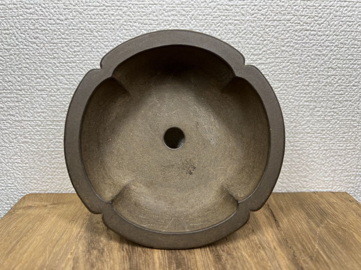 80%OFF!】 盆栽鉢 市橋和雀 希少品 早い者勝ち thecarestaff.com