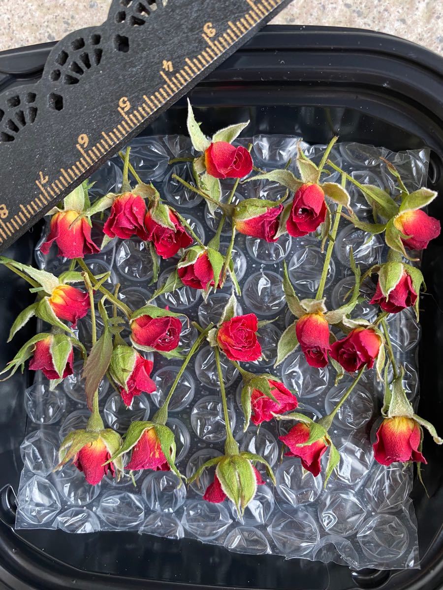 大特価 超ミニミニ薔薇 30輪セット+おまけ5輪付き ミニバラ ドライフラワー花材 ハンドメイド素材 レジン加工でアクセサリーに｜PayPayフリマ
