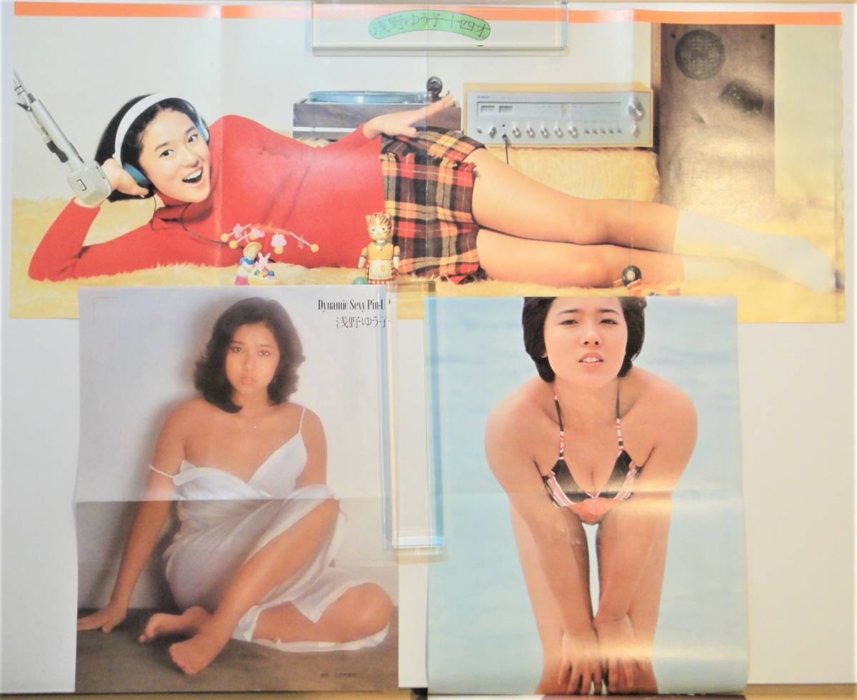  together Asano Yuko pin nap( poster ) scraps miniskirt swimsuit bikini Leotard sexy 