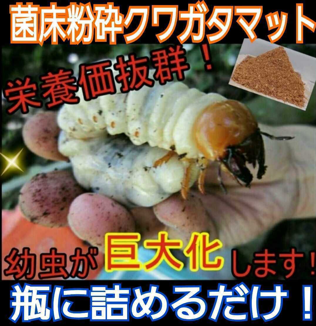 [ improvement version ]. floor crushing stag beetle larva exclusive use mat [2L] bin . pudding cup .... only!o ok wa,nijiiro, common ta, saw larva . on a grand scale become 