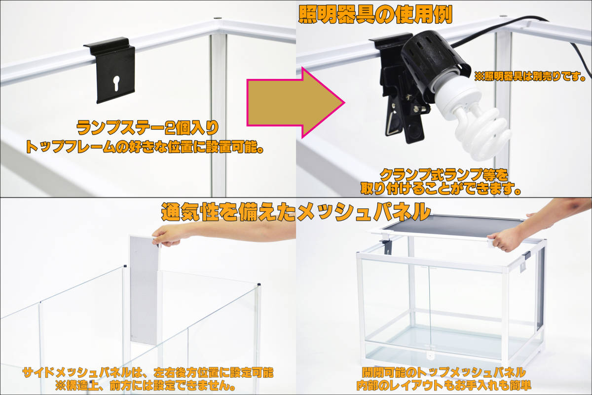 パンテオンカノンホワイトWH6045 三晃商会(SANKO) レプティワイルド