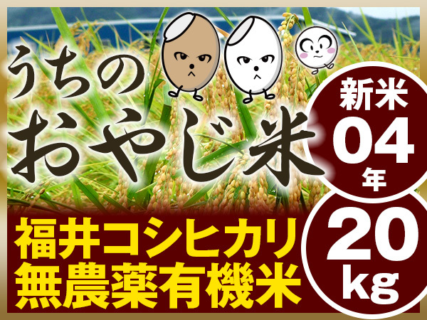 令和４年 新米・食味S】福井産 無農薬コシヒカリ（うちのおやじ米