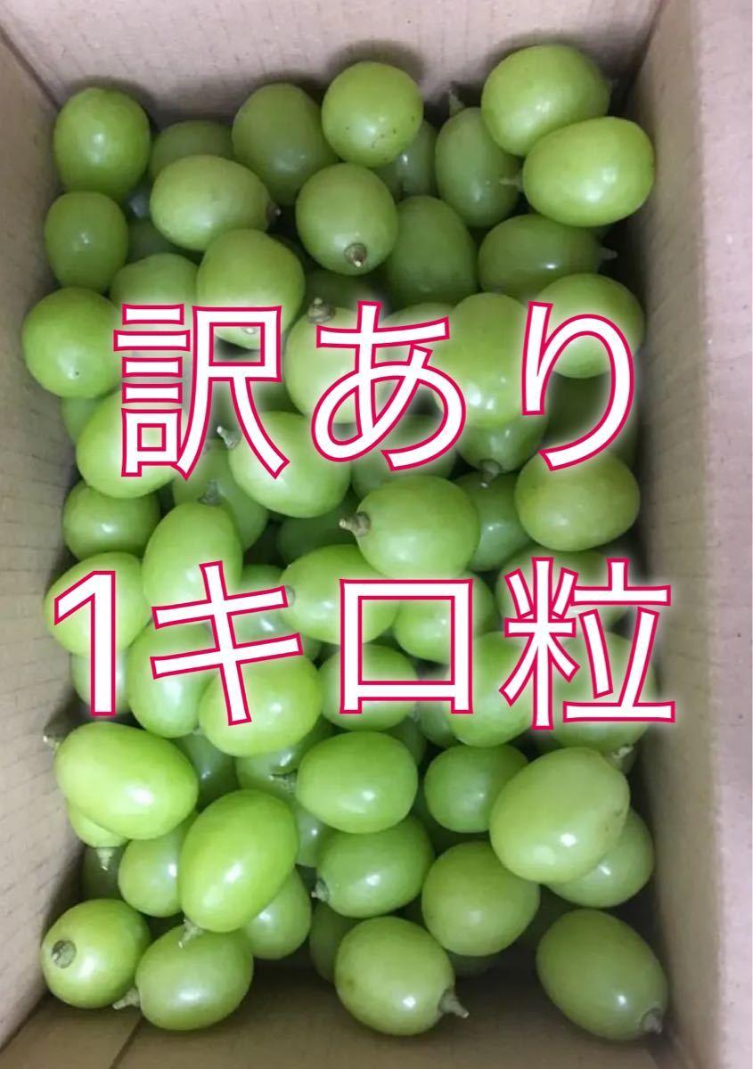 訳ありシャインマスカット朝どり 4キロ 産地直送 山梨県笛吹市産 シャインマスカットの粒