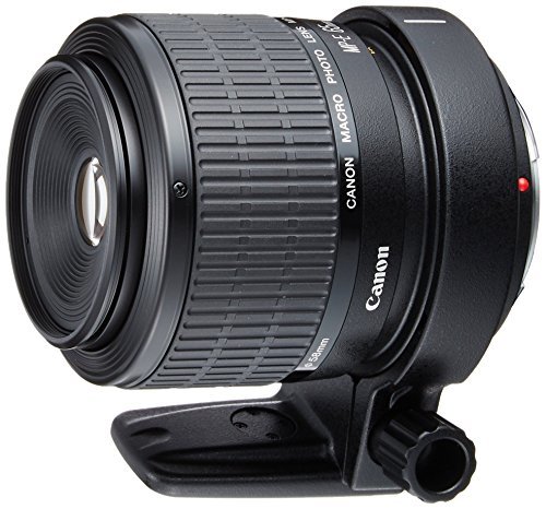Canon 単焦点マクロレンズ MP-E65mm F2.8 1-5Xマクロフォト フルサイズ対応(中古品)