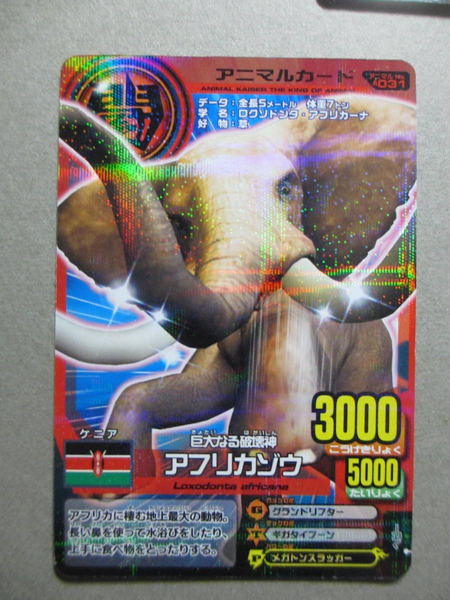 百獣大戦　アニマルカイザー　非売品　カード　5枚セット　ジャンク　　S-02　_画像2
