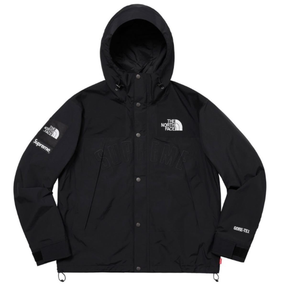 新品 未使用  Supreme THE NORTH FACE Arc Logo Mountain Parka GORE TEX 