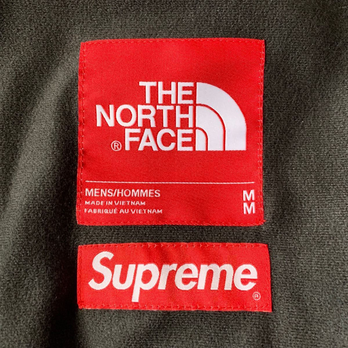 新品 未使用  Supreme THE NORTH FACE Arc Logo Mountain Parka GORE TEX 