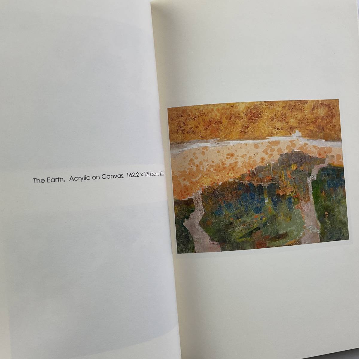 入手困難 レア古書 The Earth DOO R PARK Dea Woo Gallery Korea 韓国 現代美術 作家 作品集 図録_画像6